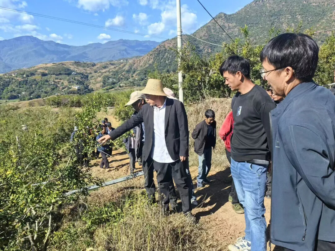 元江哈尼族彝族傣族自治县农业农村局新项目推动农业现代化，乡村振兴再添助力