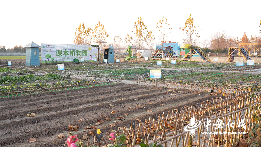 江川农场交通新动态，发展助力农场繁荣