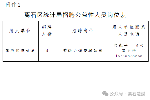 离石区人社局最新招聘信息全面解析