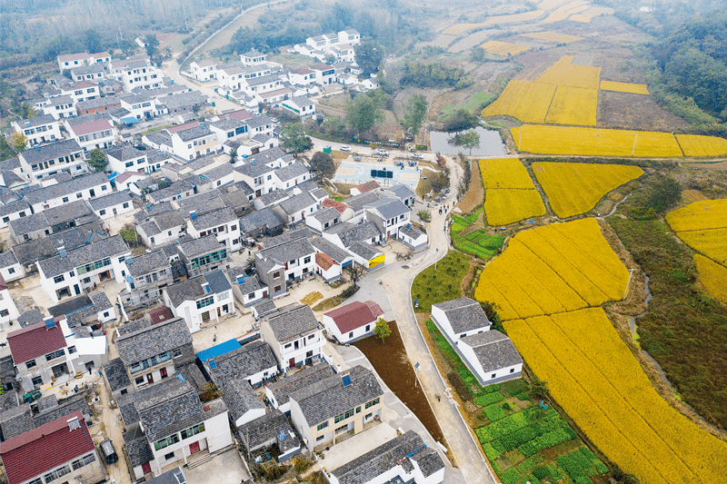 下堡寺镇最新交通新闻，迈向现代化交通新里程碑的跨越