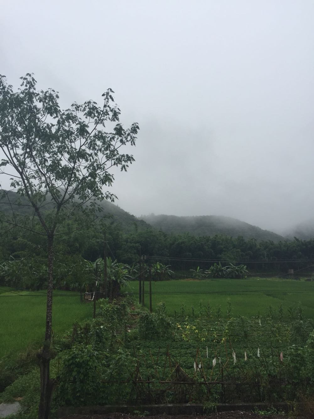 杂亚村今日天气预报