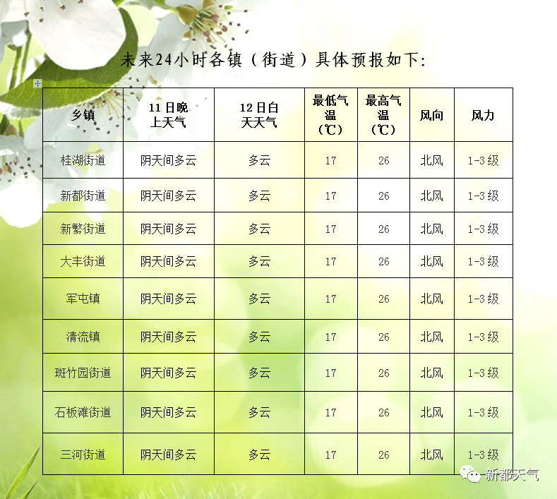 新坡镇最新天气预报