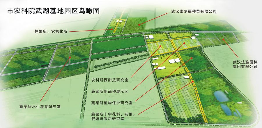 如皋市农科所发展规划展望