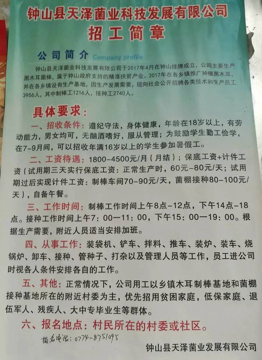 大百尺镇最新招聘信息全面解析