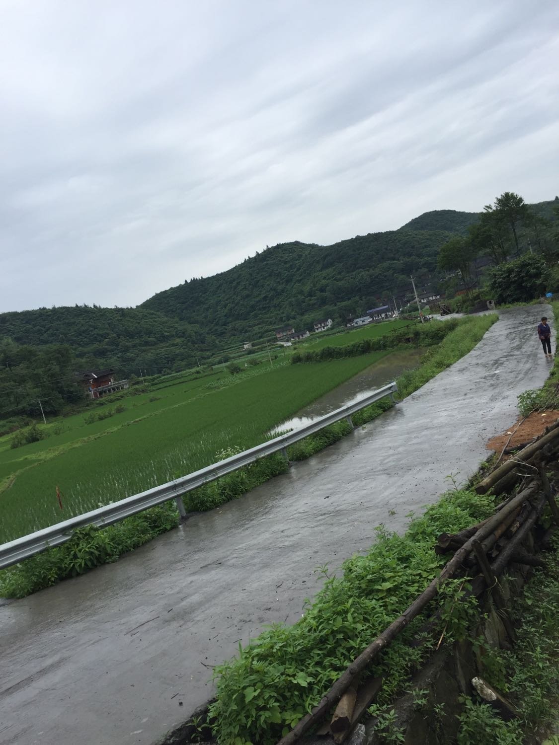 马家坪村民委员会天气预报更新通知