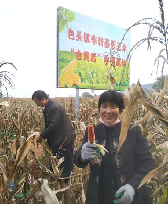 曹家沟村委会新项目启动，振兴乡村，共筑美好未来