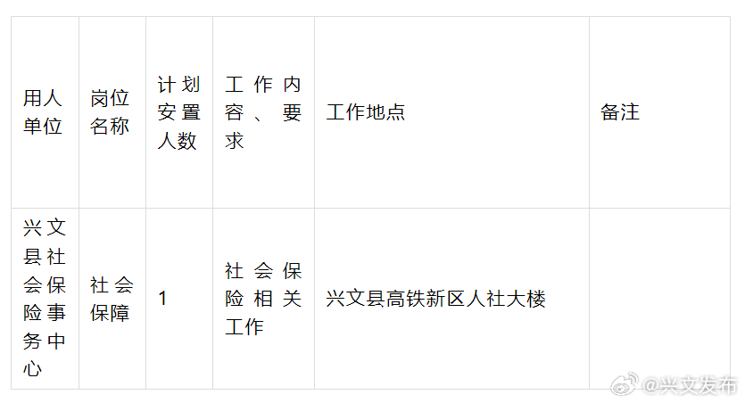 兴文县统计局最新招聘公告详解