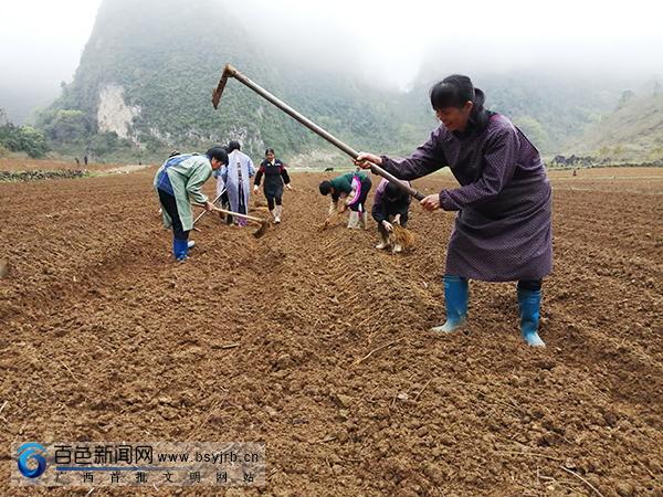 德保县发展和改革局最新动态报道