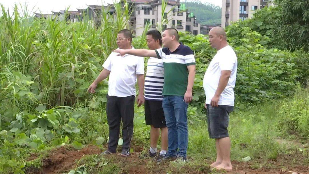 焦村村民委员会新项目推动乡村振兴，提升村民生活质量新篇章