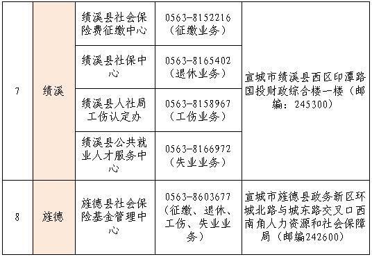 夷陵区人力资源和社会保障局项目进展及未来展望概览