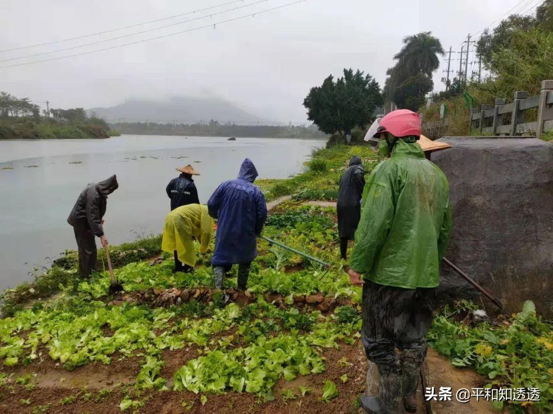 山格镇最新新闻报道发布