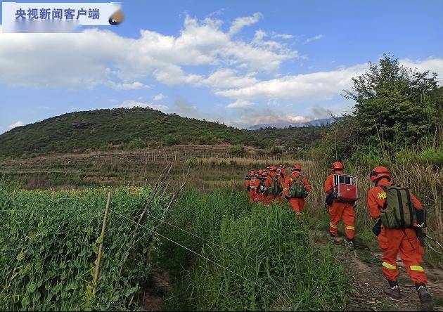 树林彝族苗族乡天气预报更新通知