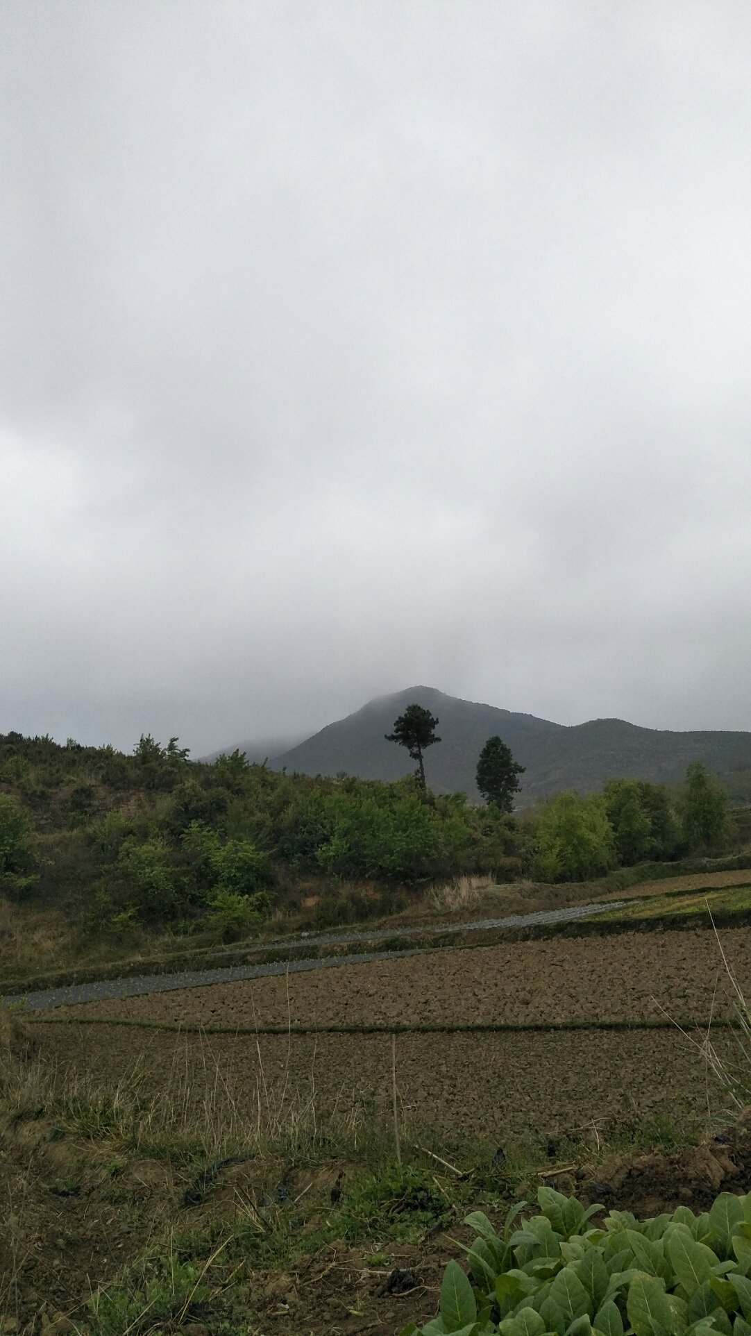 多苏格村天气预报更新